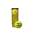 Wilson Tennisbälle Championship Minions Dose 3er