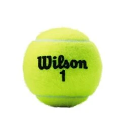 Wilson Tennisbälle Championship Dose 24x 3er Im Karton -Yonex Verkaufsgeschäft Wilson WRT100101 Black Wilson 1 Ball No Shadow201 784x784 1