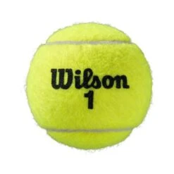 Wilson Tennisbälle Roland Garros Clay Dose 18x4er Im Karton -Yonex Verkaufsgeschäft Wilson WRT115000 0 GBL Roland Garros 4Ball202 690x690 1