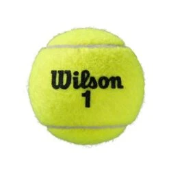 Wilson Tennisbälle Roland Garros Allcourt Dose 18x4er Karton -Yonex Verkaufsgeschäft Wilson WRT116400 2 Roland Garros Official Ball204 727x727 2